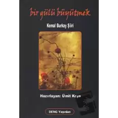 Bir Gülü Büyütmek