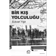 Bir Kış Yolculuğu