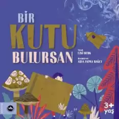 Bir Kutu Bulursan