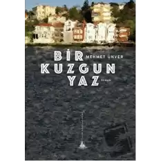 Bir Kuzgun Yaz