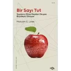 Bir Sayı Tut