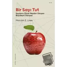 Bir Sayı Tut