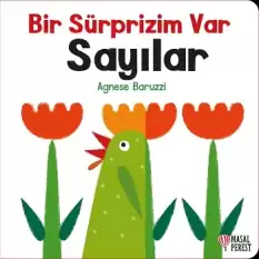 Bir Sürprizim Var Sayılar