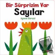 Bir Sürprizim Var - Sayılar