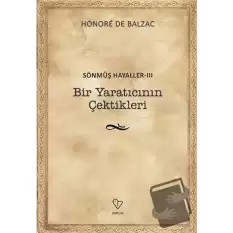 Bir Yaratıcının Çektikleri - Sönmüş Hayaller 3