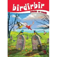 Birdirbir - Şehitlik ve Gazilik