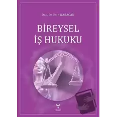 Bireysel İş Hukuku