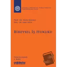 Bireysel İş Hukuku İstanbul Üniversitesi Hukuk Fakültesi Ders Kitapları Dizisi (Ciltli)