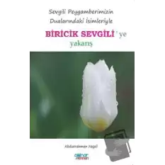 Biricik Sevgiliye Yakarış