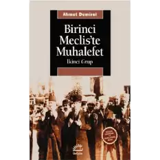 Birinci Mecliste Muhalefet: İkinci Grup