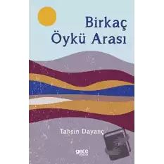 Birkaç Öykü Arası