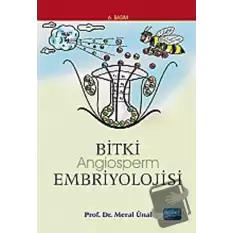 Bitki Angiosperm Embriyolojisi