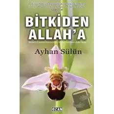 Bitkiden Allaha