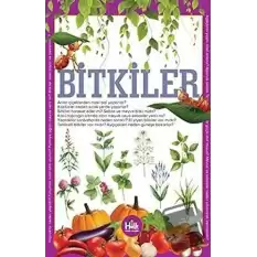 Bitkiler