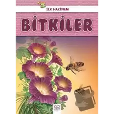 Bitkiler - İlk Hazinem