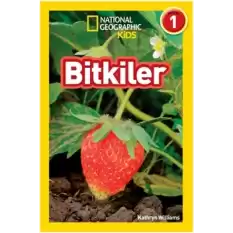 Bitkiler - National Geographic Kids