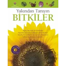 Bitkiler - Yakından Tanıyın