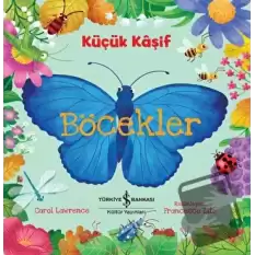 Böcekler - Küçük Kaşif