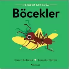 Böcekler- Tepeden Kuyruğa