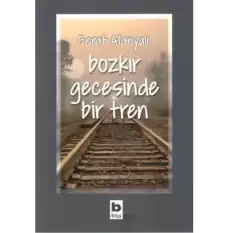 Bozkır Gecesinde Bir Tren