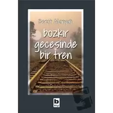 Bozkır Gecesinde Bir Tren