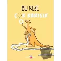 Bu Kese Çok Karışık