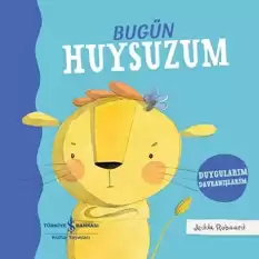 Bugün Huysuzum – Duygularım Davranışlarım (Ciltli)