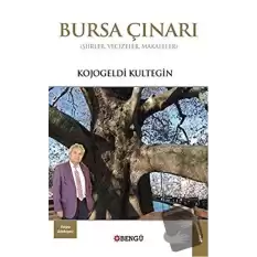 Bursa Çınarı