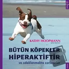 Bütün Köpekler Hiperaktiftir ve Odaklanmakta Zorlanırlar