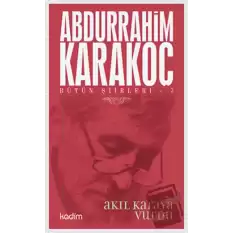 Bütün Şiirleri 7: Akıl Karaya Vurdu