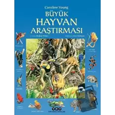 Büyük Hayvan Araştırması