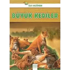 Büyük Kediler - İlk Hazinem