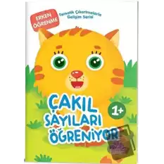 Çakıl Sayıları Öğreniyor