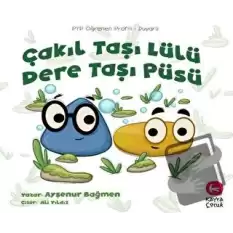 Çakıl Taşı Lülü Dere Taşı Püsü (5+Yaş)