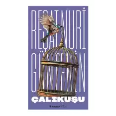 Çalıkuşu (Yeni Kapak)