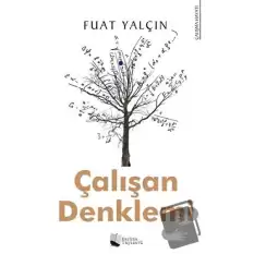 Çalışan Denklemi