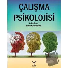 Çalışma Psikolojisi