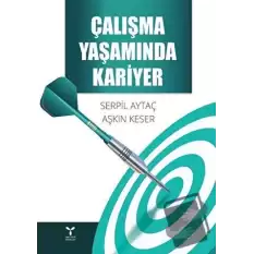 Çalışma Yaşamında Kariyer