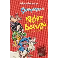 Çalısüpürgesi 1 - Nehir Böcüğü