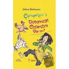 Çalısüpürgesi 3 - Denemeye Cesaretin Var mı?