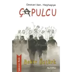 Çapulcu