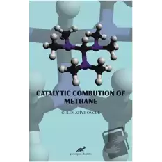 Catalytic Combution Of Methane