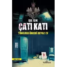 Çatı Katı