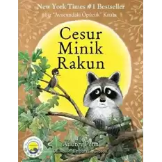 Cesur Minik Rakun