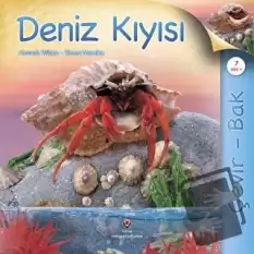 Çevir Bak - Deniz Kıyısı (Ciltli)