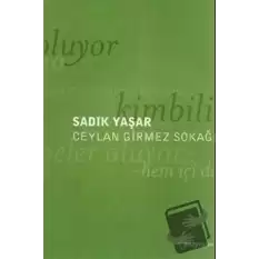 Ceylan Girmez Sokağı