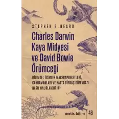 Charles Darwin Kaya Midyesi ve David Bowie Örümceği