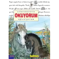 Çıkartmalarla Okuyorum Eğleniyorum -Küçük Tay Şahlan