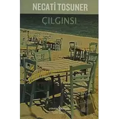 Çılgınsı