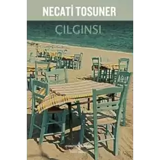 Çılgınsı